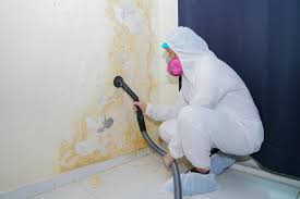 Mold Documentation for Insurance Claims in Pojoaque, NM